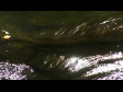 Water 9 371